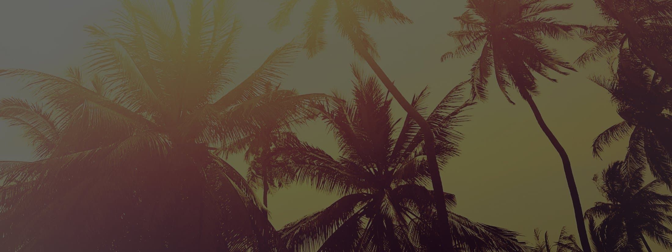Main Form Background Image